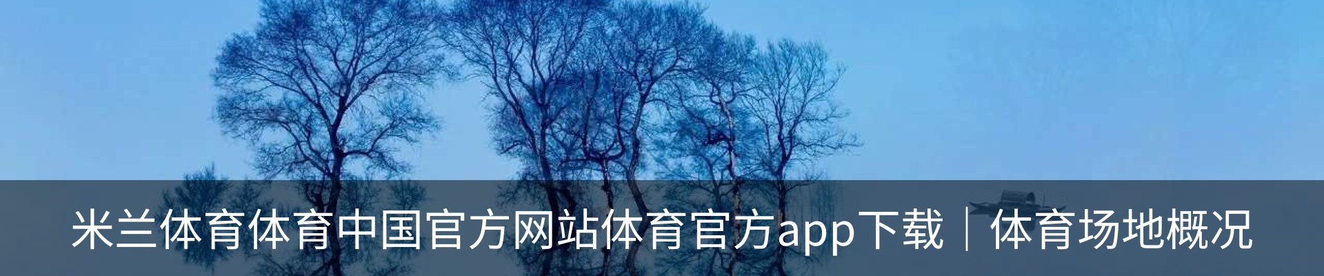 内页banner